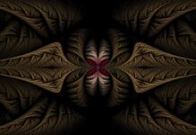 Fidelity – A Fascinating Comprehensive Guide fidelity