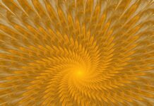 Submagic – A Must Read Comprehensive Guide Submagic