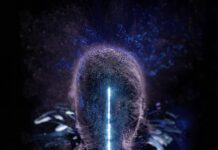 Winia – A Fascinating Comprehensive Guide Winia