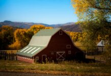 The Popularity and Use of Pole Barns Are Growing – Let’s Take a Quick Look Pole Barns