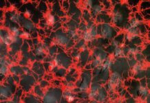 AdBlue – Top Ten Powerful Things You Need To Know AdBlue