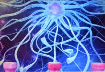 Stremio – Top Ten Most Important Things You Need To Know Stremio