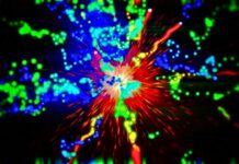 Wearable Breast Pump