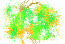 Catbird – Top Ten Most Important Things You Need To Know Catbird