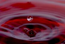 Scripting language – Top Ten Powerful Things You Need To Know Scripting language