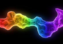 Validator – A Fascinating Comprehensive Guide Validator