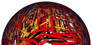 Bioactive Terrarium – Top Ten Things You Need To Know Bioactive Terrarium