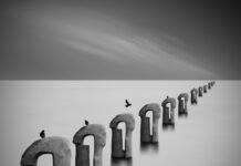 Insurance Technology