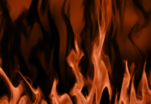 Speculative Evolution