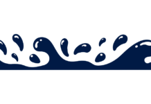 InDriver – Top Ten Most Important Things You Need To Know InDriver