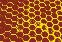 Strapi – Top Ten Most Important Things You Need To Know Strapi