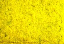 Ginkgo Bioworks