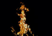 Pathrise – Top Ten Things You Need To Know Pathrise