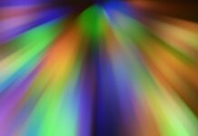venuschub ai