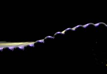 Helion Energy
