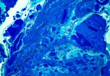 Thrasio – Top Ten Most Important Things You Need To Know Thrasio