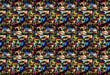 Zero Gravity- Top Ten Important Things You Need To Know Zero Gravity