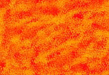 Epsilon3 – A Comprehensive Guide Epsilon3