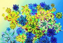 Netra- A Fascinating Comprehensive Guide