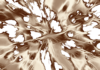 Enagic
