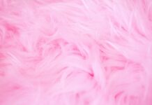 MadKudu – A Comprehensive Guide MadKudu