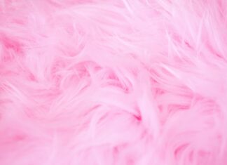 MadKudu – A Comprehensive Guide MadKudu