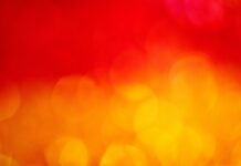 Numpyro- A Comprehensive Guide Numpyro