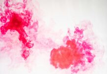 Refrigerator Truck – A Comprehensive Guide Refrigerator Truck