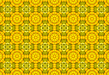 Oral Probiotic- A Fascinating Comprehensive Guide Oral Probiotic