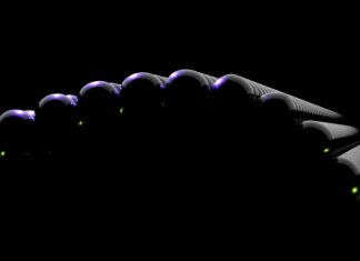 Weeping Fig – A Comprehensive Guide Weeping Fig