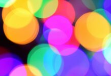 Rootine  – A Must Read Comprehensive Guide Rootine