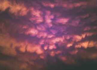 Infosys Lex – Top Ten Most Important Things You Need To Know Infosys Lex