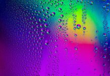 Katkin – Top Ten Powerful Things You Need To Know Katkin