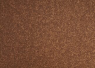 Theanine – Top Ten Things You Need To Know Theanine