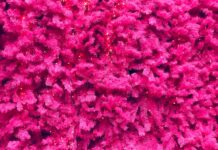 Tia Health- A Must Read Comprehensive Guide Tia Health