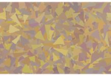 Nelumbo – Top Ten Things You Need To Know Nelumbo