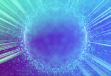 Natureland – A Comprehensive Guide Natureland