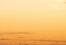 Agile Implementation- Top Ten Important Things You Need To Know Agile Implementation