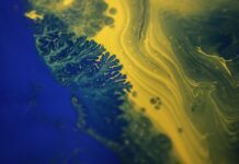 Agile Product Development- Top Ten Important Things You Need To Know Agile Product Development