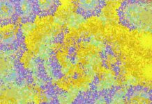 Pheromones Oil – A Comprehensive Guide Pheromones Oil