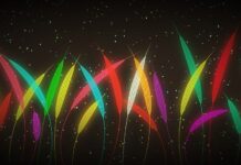 Redream – Top Ten Powerful Things You Need To Know Redream