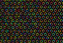 Ynsect – A Must Read Comprehensive Guide Ynsect