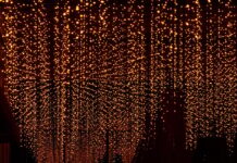 Rasa Coffee – Top Ten Most Important Things You Need To Know Rasa Coffee