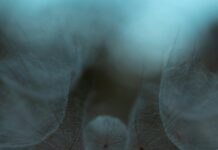 Gene editing tools – Top Ten Powerful Things You Need To Know Gene editing tools