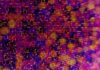 Adversarial AI
