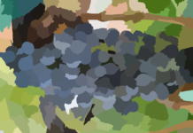 Synthetic Media – Top Ten Powerful Things You Need To Know Synthetic Media