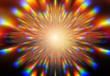 Goat Sneakers- A Must Read Comprehensive Guide Goat Sneakers