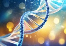 Farcaster – Top Ten Things You Need To Know Farcaster