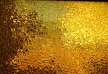 Flixtrain – Top Ten Important Things You Need To Know Flixtrain