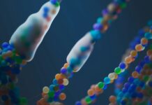 Epigenetics- Top Ten Important Things You Need To Know Epigenetics